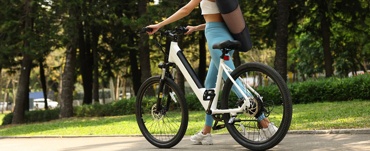 Electric Bike for Adults 750W