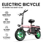 Terrosor EBIKE 400W / 25km/h