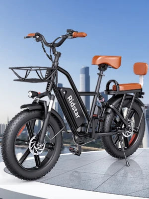 Trigger EBIKE 48V 15AH - 2 Seater