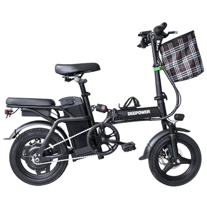 Electric Bike 600W