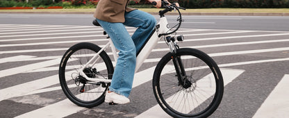 Electric Bike for Adults 750W