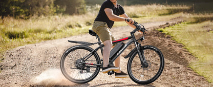 Peak Ebike 48V 374.4WH 1000W