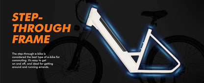 Electric Bike for Adults 750W