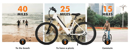 Electric Bike for Adults 750W