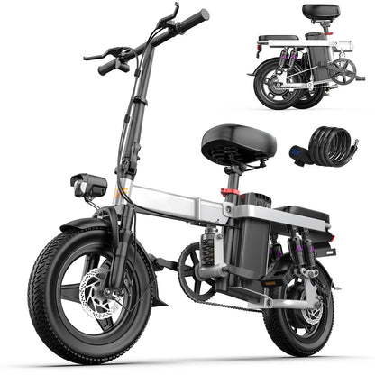 Terrosor EBIKE 400W / 25km/h