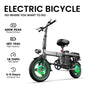 Terrosor EBIKE 400W / 25km/h